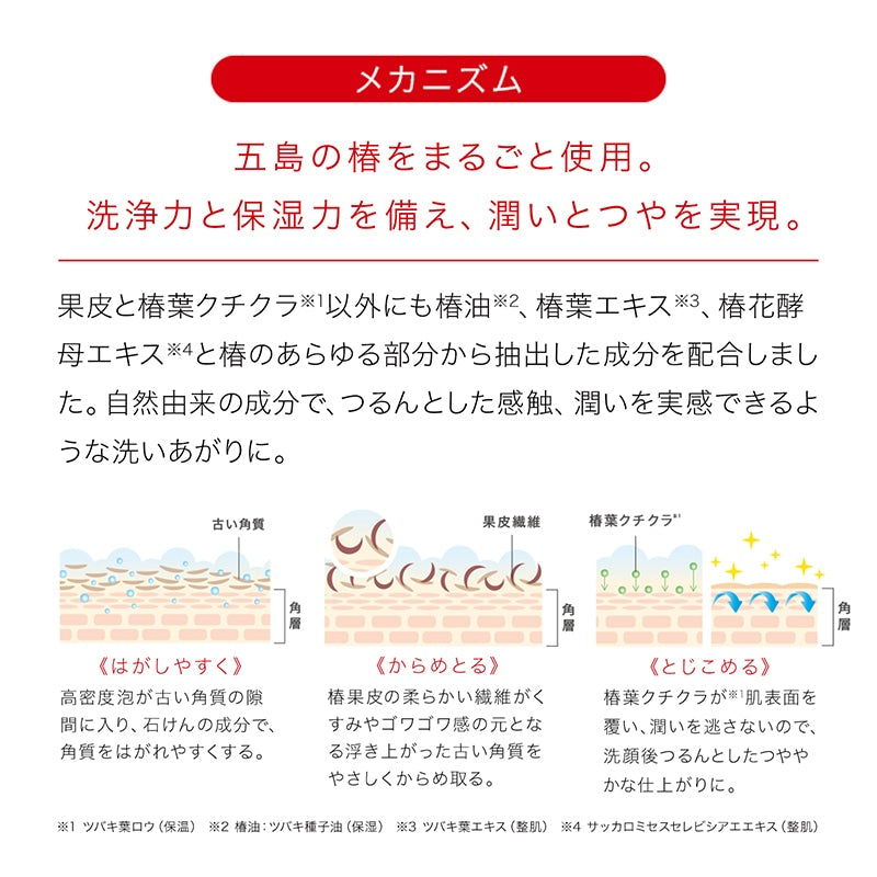 【送料無料キャンペーン中】椿酵母せっけん110g